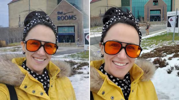 N.L. arts and tourism minister says she regrets posting image altered with AI to social media