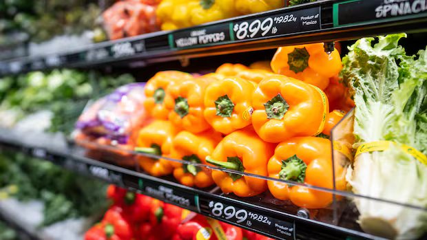 Why are veggies so expensive? Consumers crunched by climbing cucumber costs