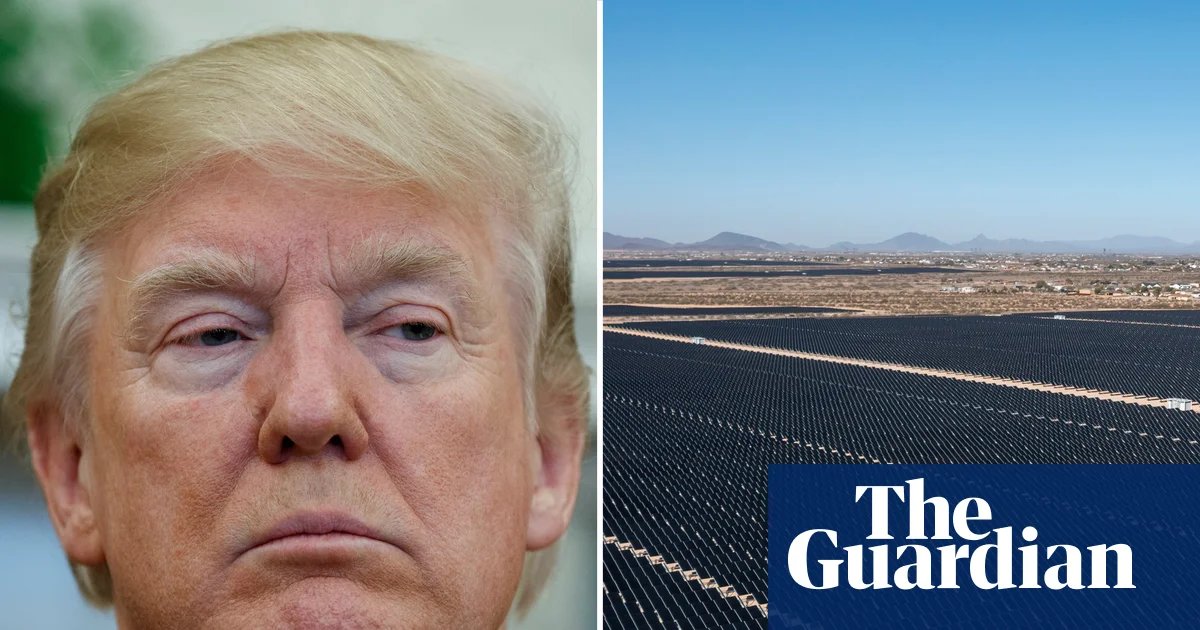 Trump’s attempt to crush clean energy progress not going to plan, experts say | Trump administration