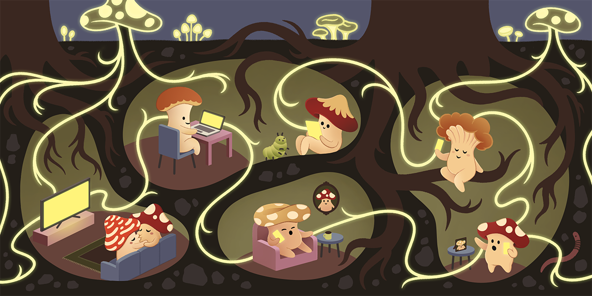 The Open Social Web Needs Section 230 to Survive