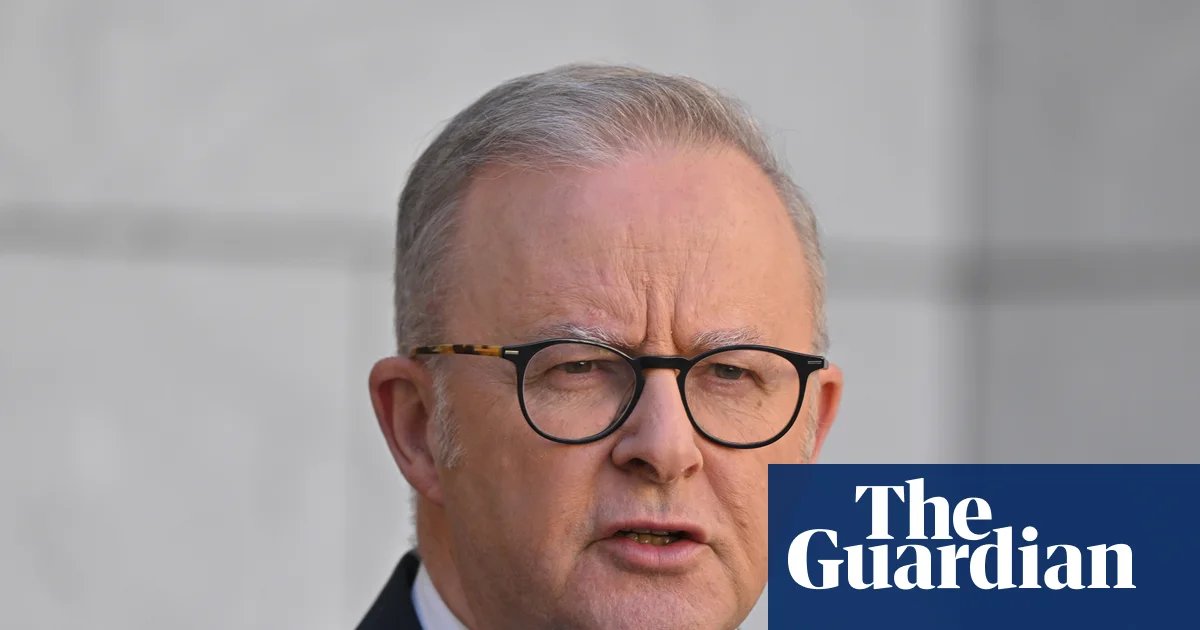 Anthony Albanese rules out gas export tax on existing contracts and criticises ‘populist’ campaign | Energy