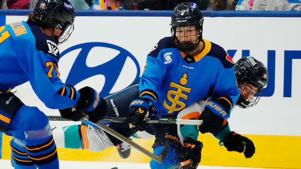 ‘They deserve their space’: Toronto Sceptres fans push for logo, branding at team’s home rink