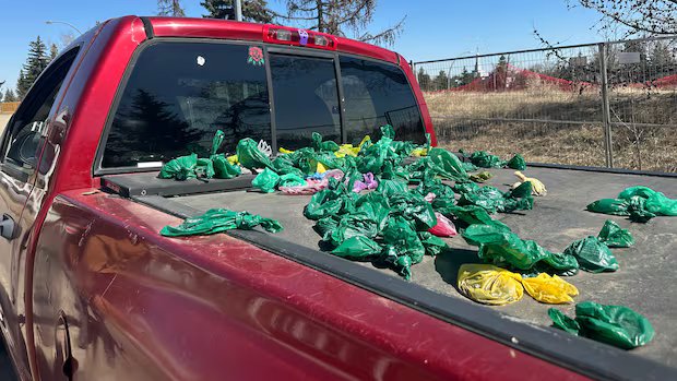 Poop bags are being dumped on this truck. It can’t be towed because impound lot is full