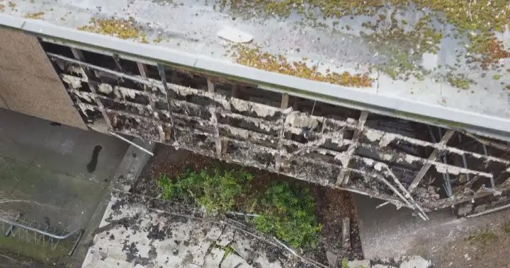 Vancouver Park Board approves plan to ask city for massive investment – BC