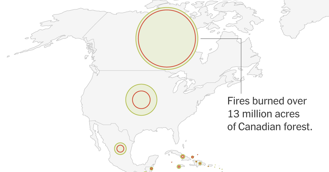 Global Deforestation Slows, W.R.I. Report Finds. But Wildfires Are Taking a Toll.