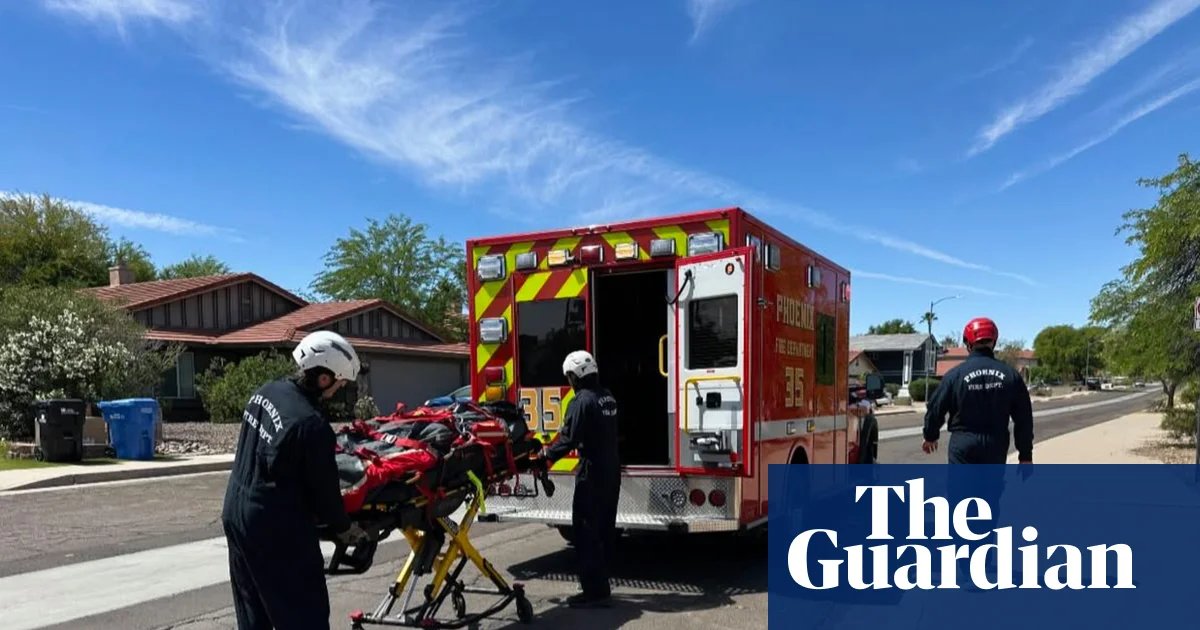 Arizona hiker stung more than 100 times by bees left in critical condition | Arizona