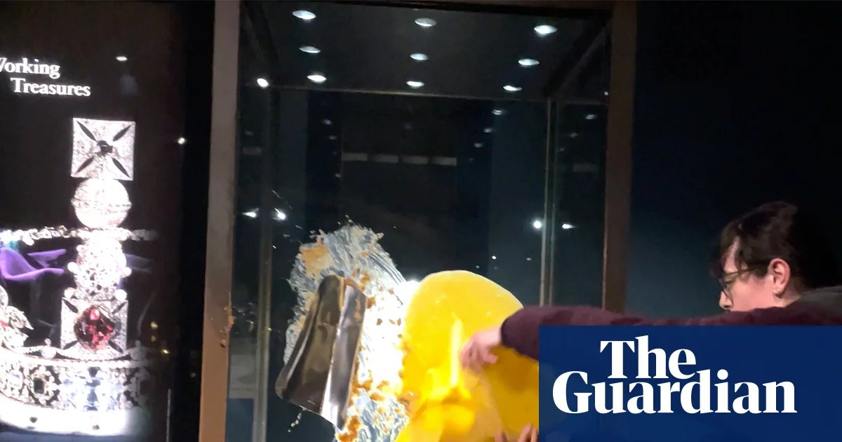 Civil resistance activists detained in Manchester over alleged plan to raid high-end stores | Protest