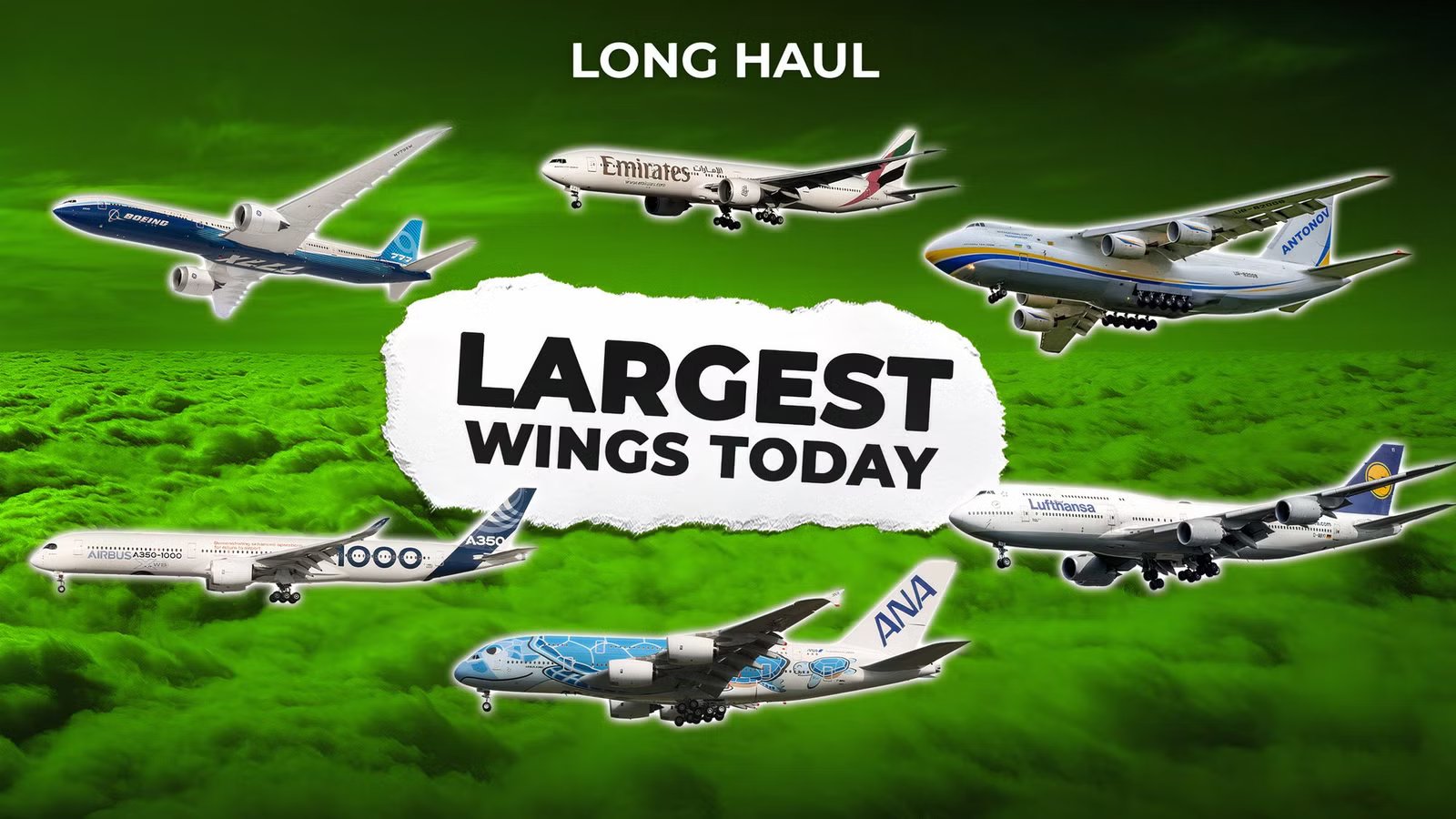 The Biggest Airline Wings Flying Today (Top 6)
