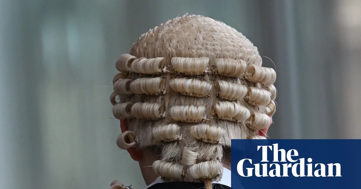 Australian federal court warns lawyers over ‘unacceptable’ use of AI | Australian law