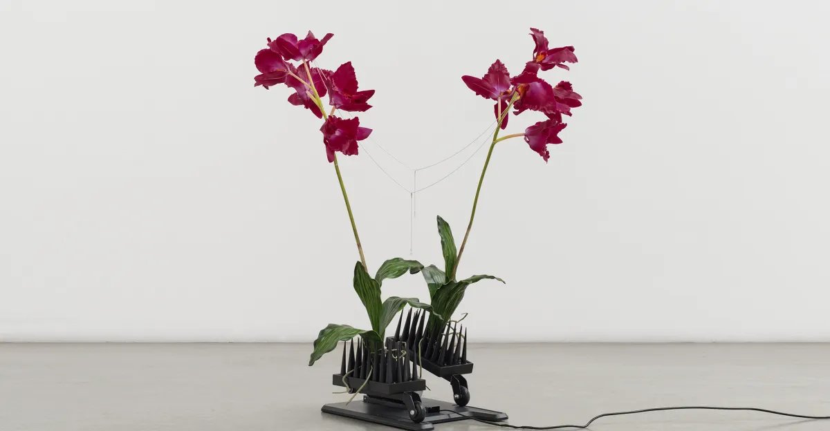 Anthropomorphic sculptures made of fake flowers and neck massagers