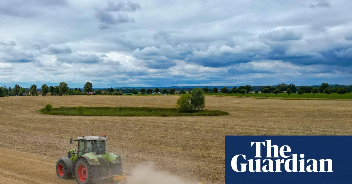 EU farmers and hauliers to get up to €50,000 to cover extra costs of Iran war | European Union