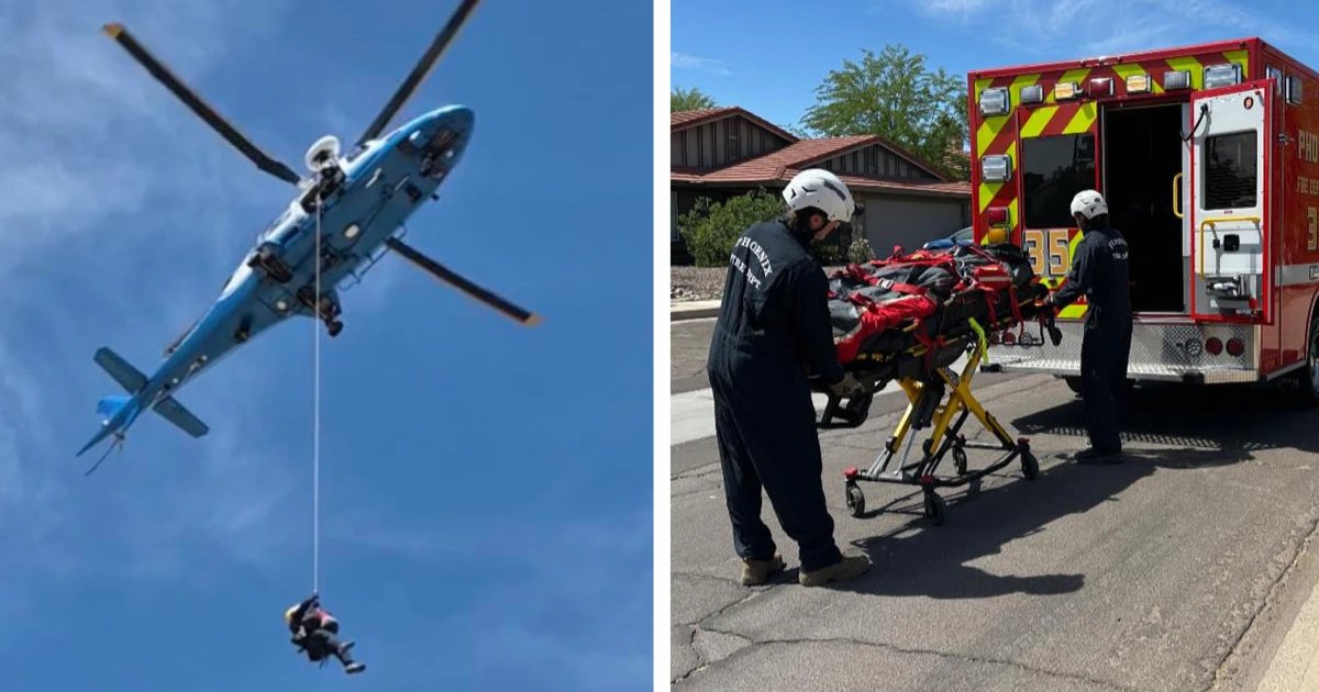 Hiker airlifted off Arizona mountain after being stung over 100 times by bees