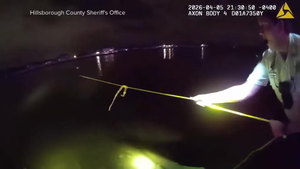 WATCH:  Deputies race to rescue woman trapped in sinking pickup truck outside Tampa, Florida