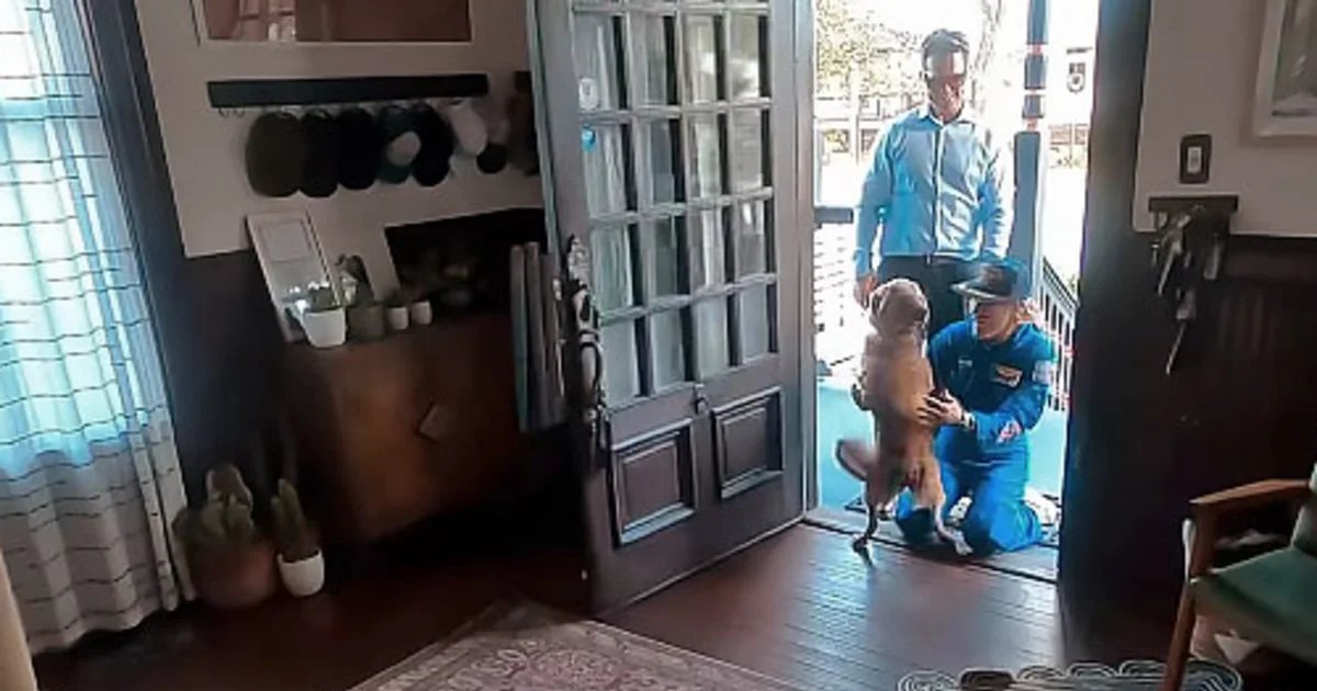 Artemis II astronaut Christina Koch reunites with her dog in heartwarming video