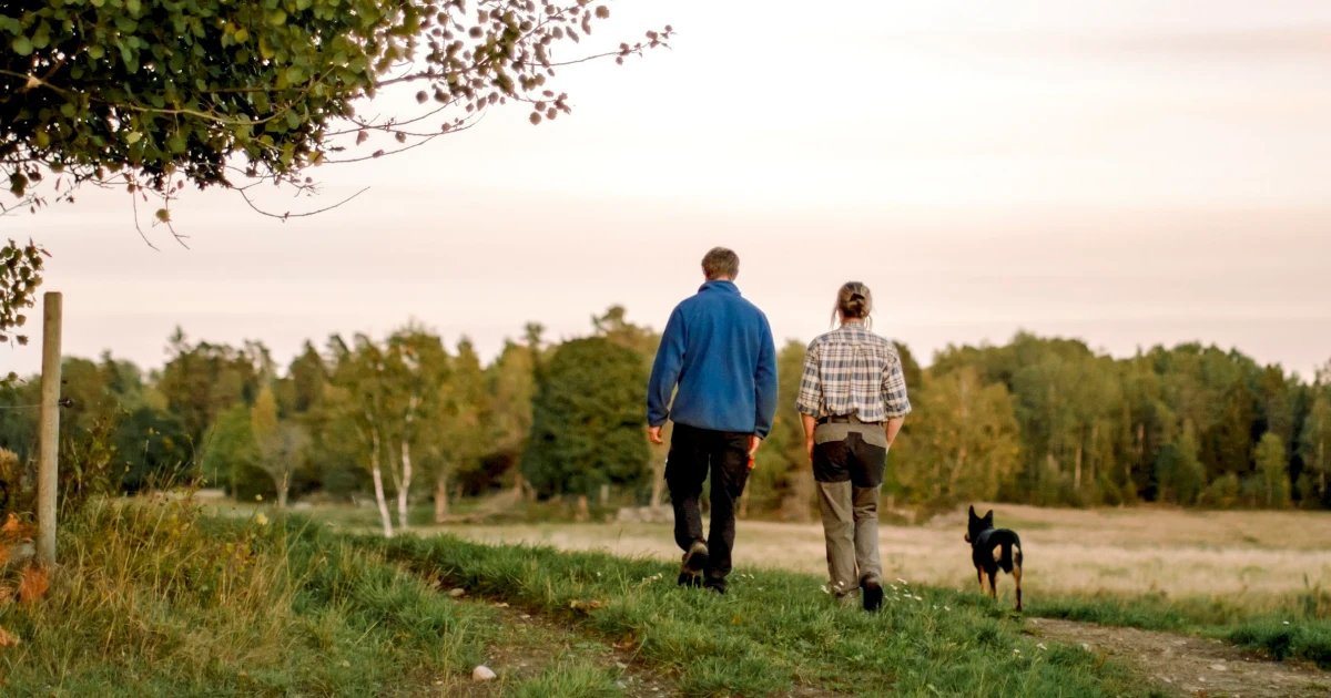 What does it take to protect brain health? 10 habits to start now