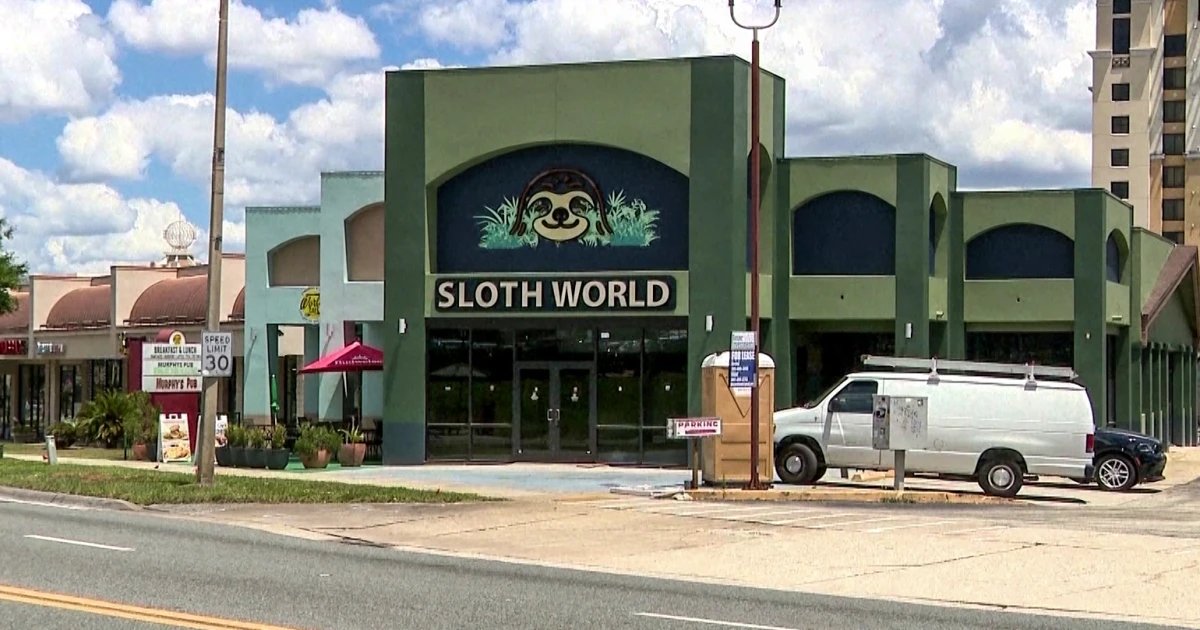 31 sloths meant for Florida ‘slotharium’ attraction die in warehouse or in transit