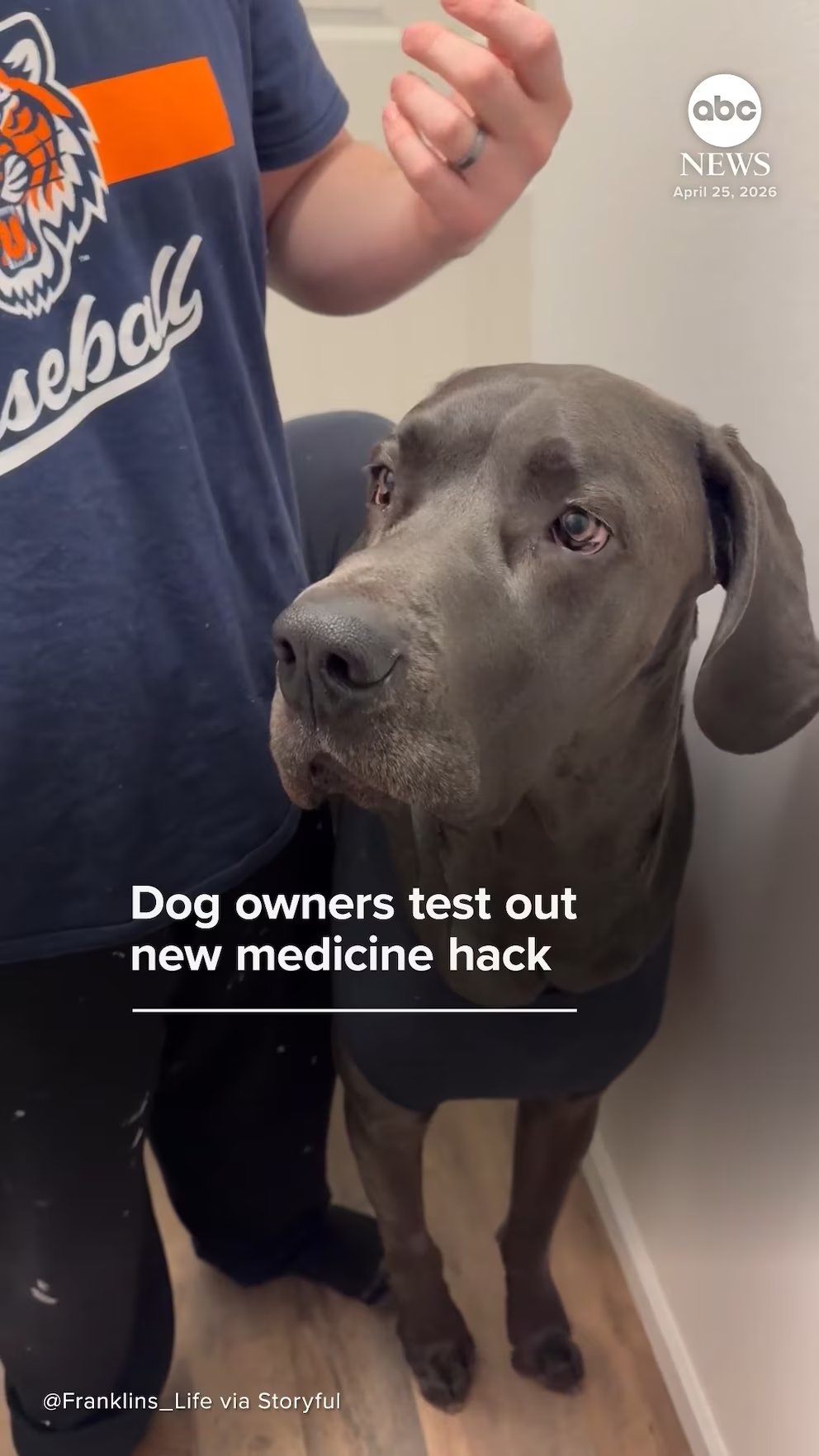 WATCH:  Dog owners test out new medicine hack