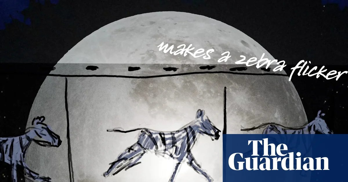 ‘The Moon and The Zoo’: Simon Armitage poem celebrates 200 years of ZSL | Zoology