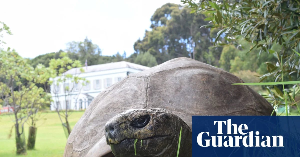 World’s oldest tortoise caught in viral crypto death scam | St Helena