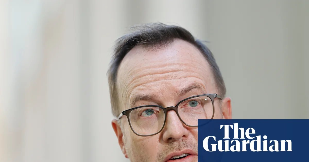 Greens say Australia should step up pressure on Israel over ‘disastrous, illegal, immoral war’ on Lebanon | Australian foreign policy