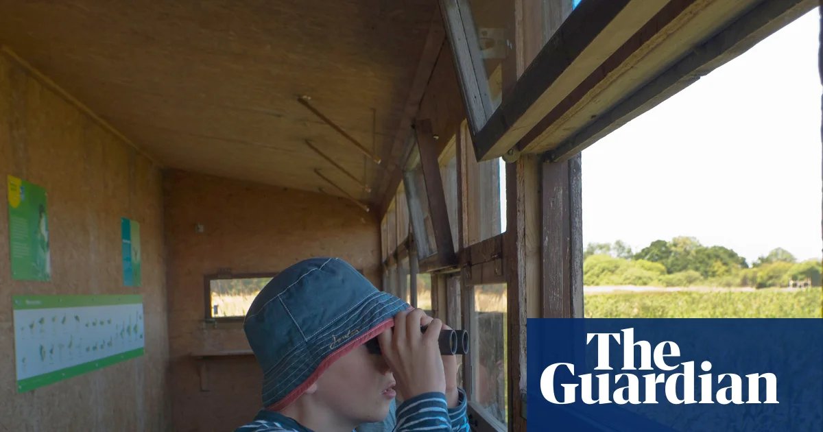 Gen Z leads birdwatching boom as more Britons reach for the binoculars | Birds