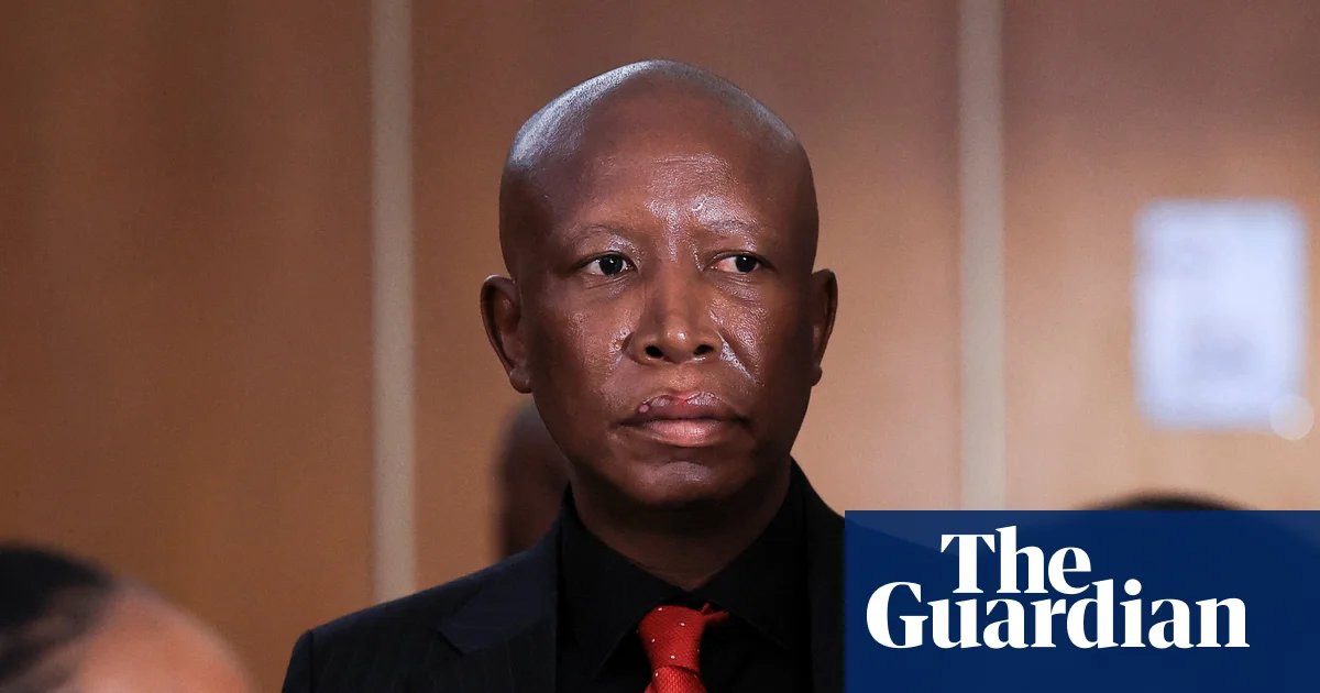 South African politician Julius Malema given five-year jail term for gun offence | South Africa
