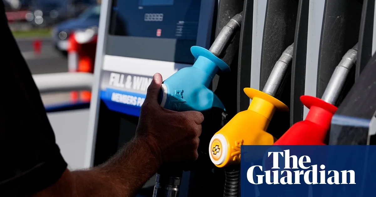 Feeling gloomy about the economy? The ‘vibecession’ has arrived in Australia – but experts are less worried | Australian economy