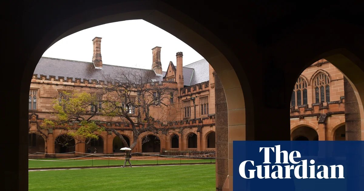 Student’s alleged jailing in China over Australian pro-democracy protests sparks calls for inquiry | Australian universities