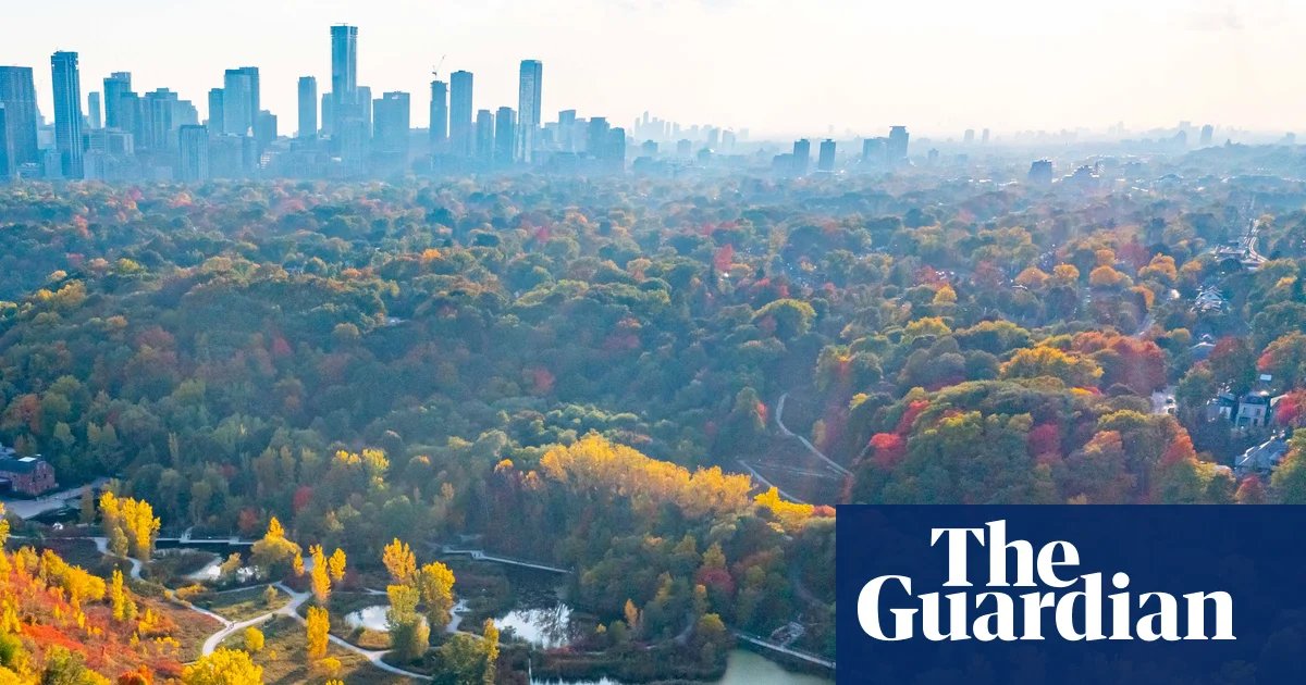Row over ‘virtual gated community’ AI surveillance plan in Toronto neighbourhood | AI (artificial intelligence)