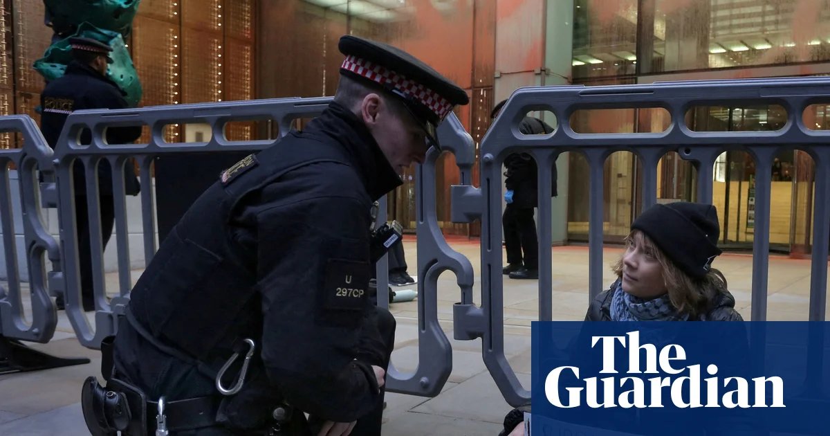 Greta Thunberg, Sally Rooney and Brian Eno defy Palestine Action ban in letter to judges | Palestine Action