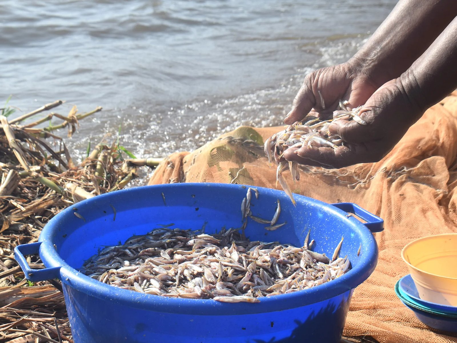 Kenyan women defy fishing taboos as climate change threatens Lake Victoria | Women News
