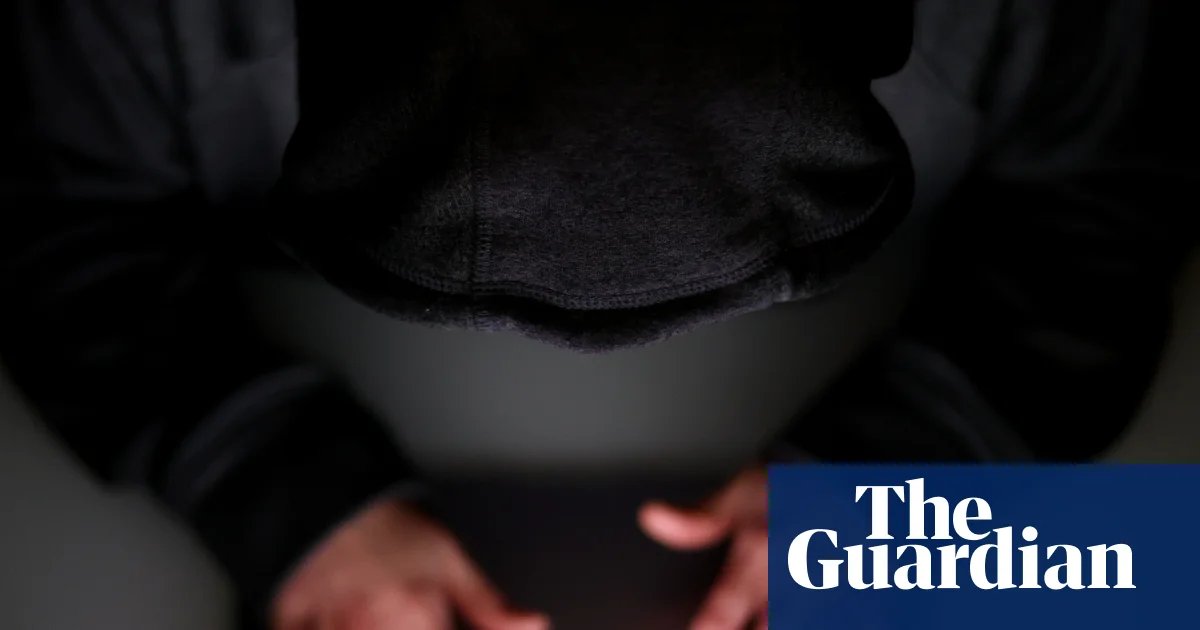 Criminal gangs profiting as child sexual abuse websites double, experts say | Internet safety