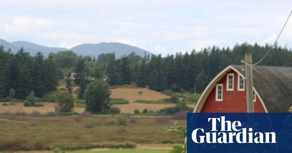 ‘Horror movie’: officials investigate after 21 dead dogs wash up on Washington state shore | Washington state