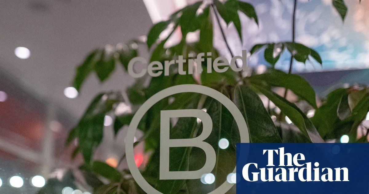Dozens of firms risk losing B Corp status after standards overhaul | Ethical business