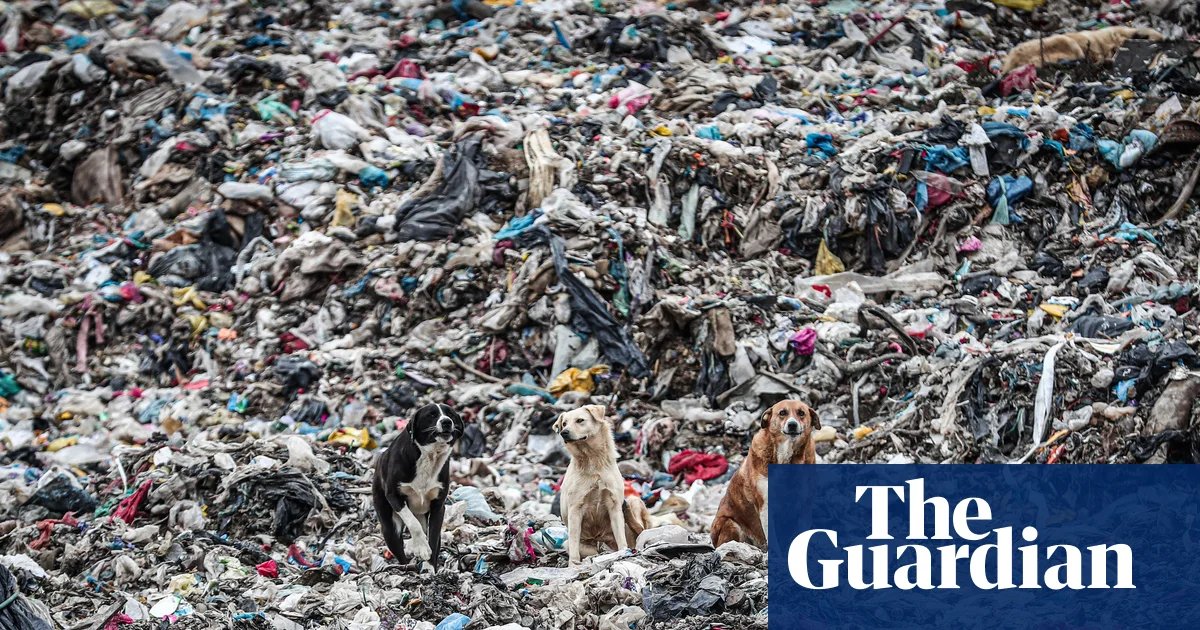Germany was largest exporter of plastic waste in 2025, sending 810,000 tonnes overseas, analysis finds | Plastics