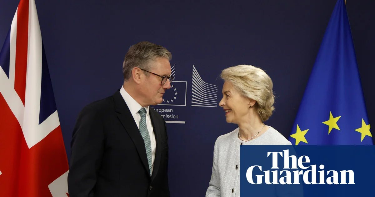 Britain could adopt single market rules without MPs’ vote as part of UK-EU reset | Trade policy