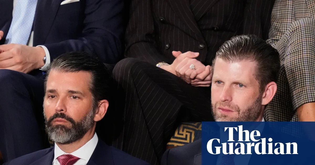 Firm backed by Trump sons tries to sell drone interceptors to Gulf states being attacked by Iran | Donald Trump