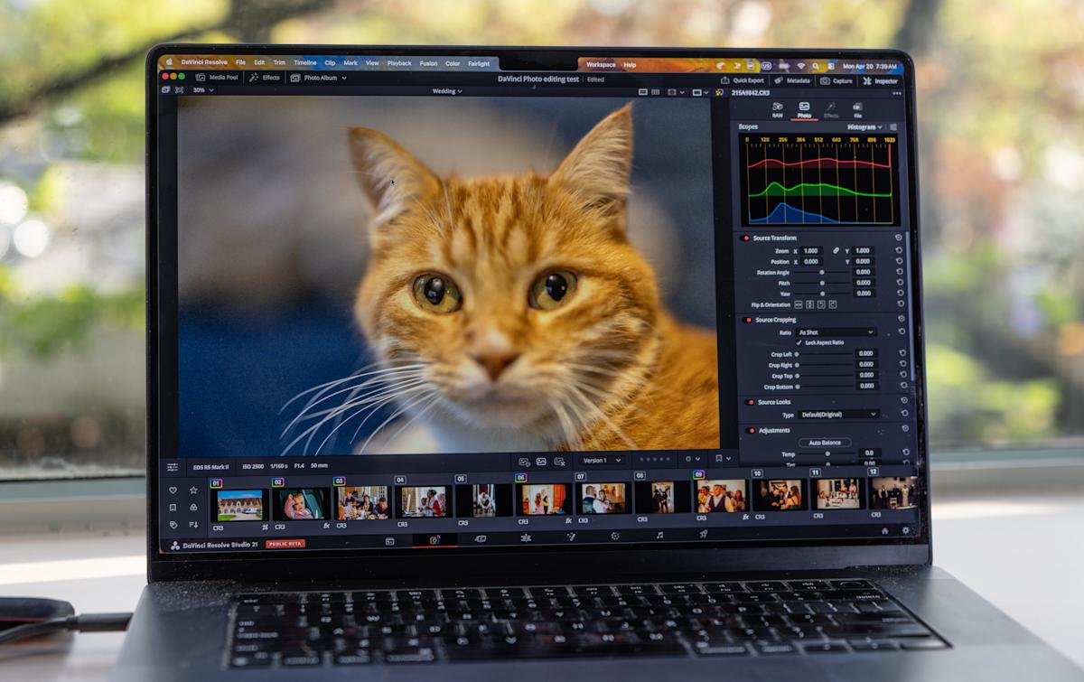 DaVinci Resolve 21 hands-on: A viable Lightroom alternative for casual users