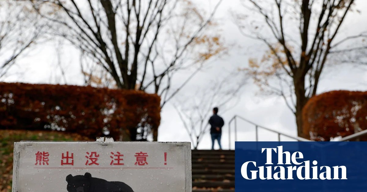 Record bear sightings in Japan cause alarm as hibernation ends | Japan