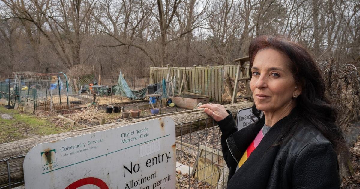 Inside the battle for Toronto's coveted garden plots — and why it's so hard to get one