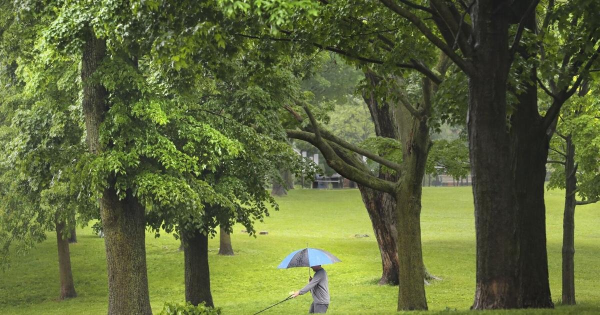 Overcast, potential showers on tap for Easter Sunday in Toronto