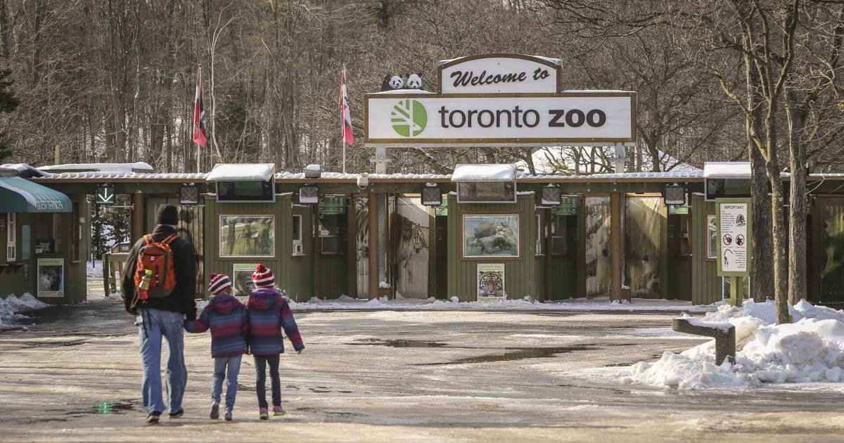Toronto Zoo staff vote in favour of strike, union says
