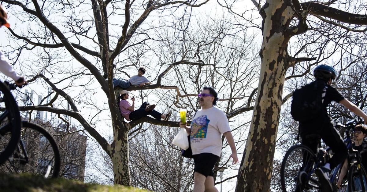 Your brain on spring: How sunny skies and warmer weather affect your mental and physical health