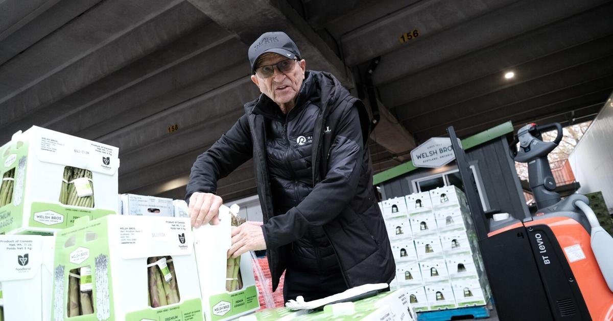 Ontario's 'king of asparagus' readies for harvest