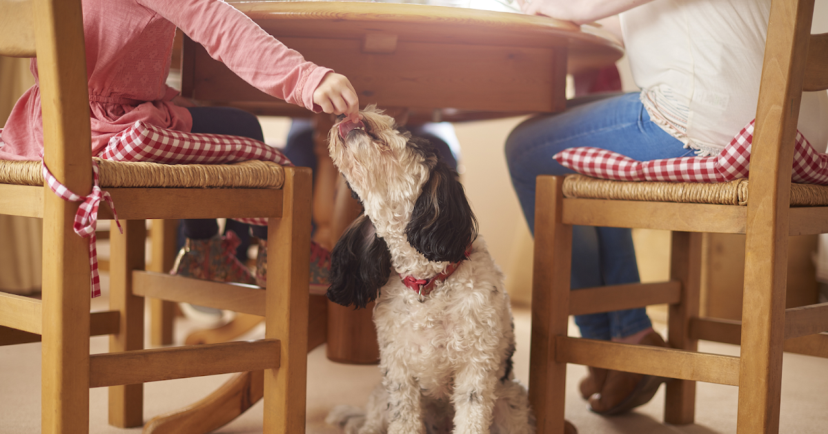 Politics and its Discontents: Orts From the Table