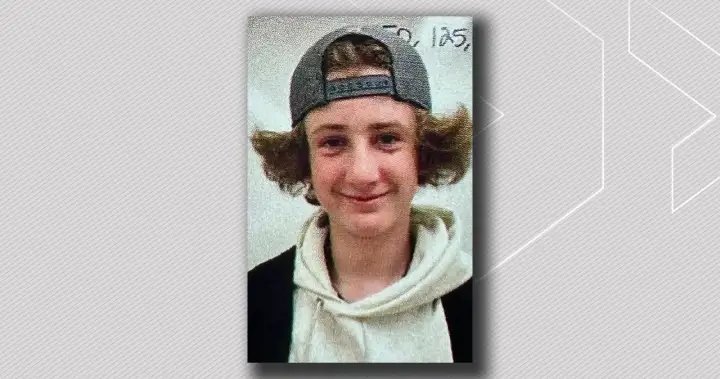 Man who killed St. Albert teen on dog walk sentenced to 14 years for manslaughter – Edmonton