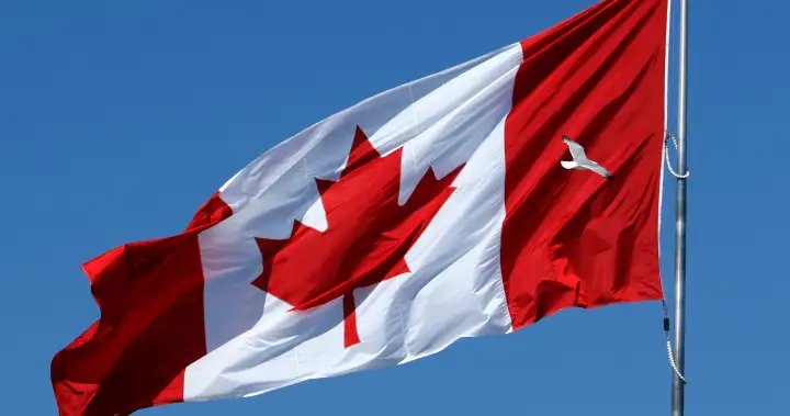 Mississauga bans international banners from city hall, giving away free Canadian flags – Toronto