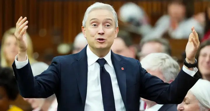 Spring economic statement set to be tabled by Liberals in Ottawa – National