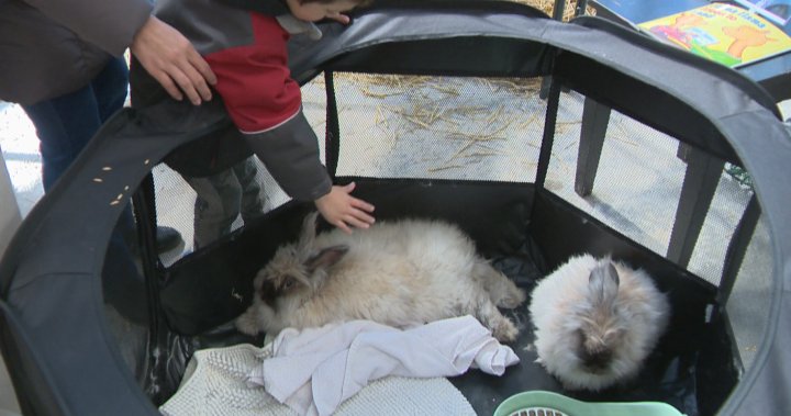 A look at Easter celebrations in Saskatoon – Saskatoon