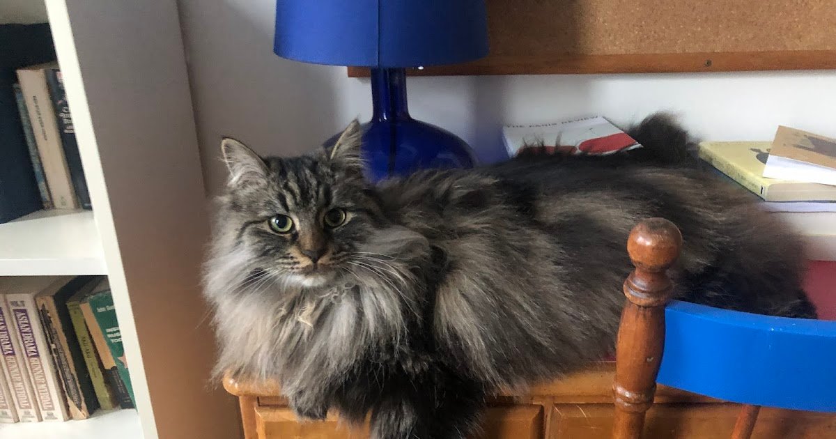 Saturday Photo: Evi Has a Birthday!